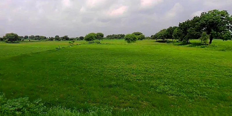 Chandla, Madhya Pradesh 471525, India preview 3