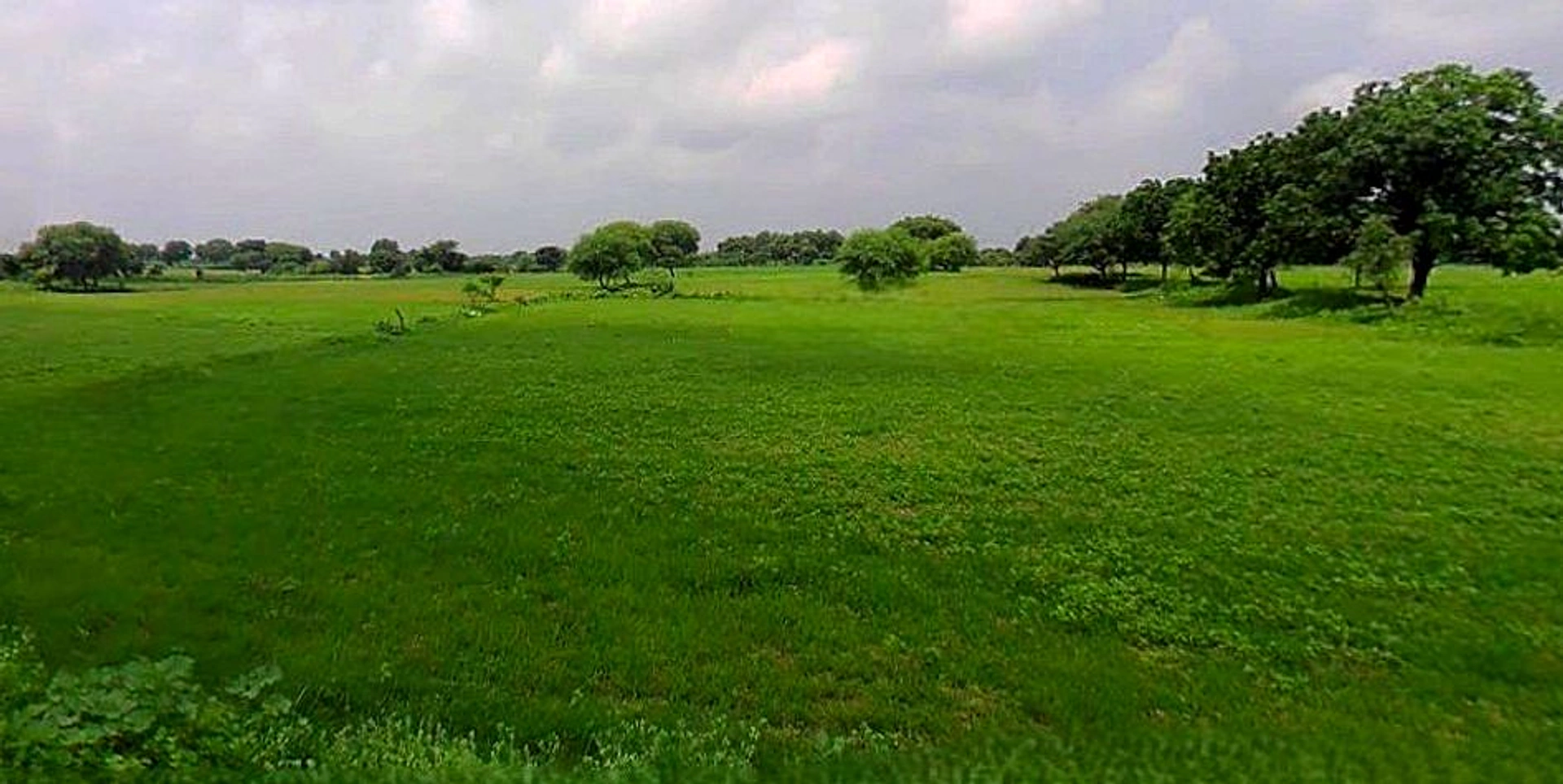 Chandla, Madhya Pradesh 471525, India