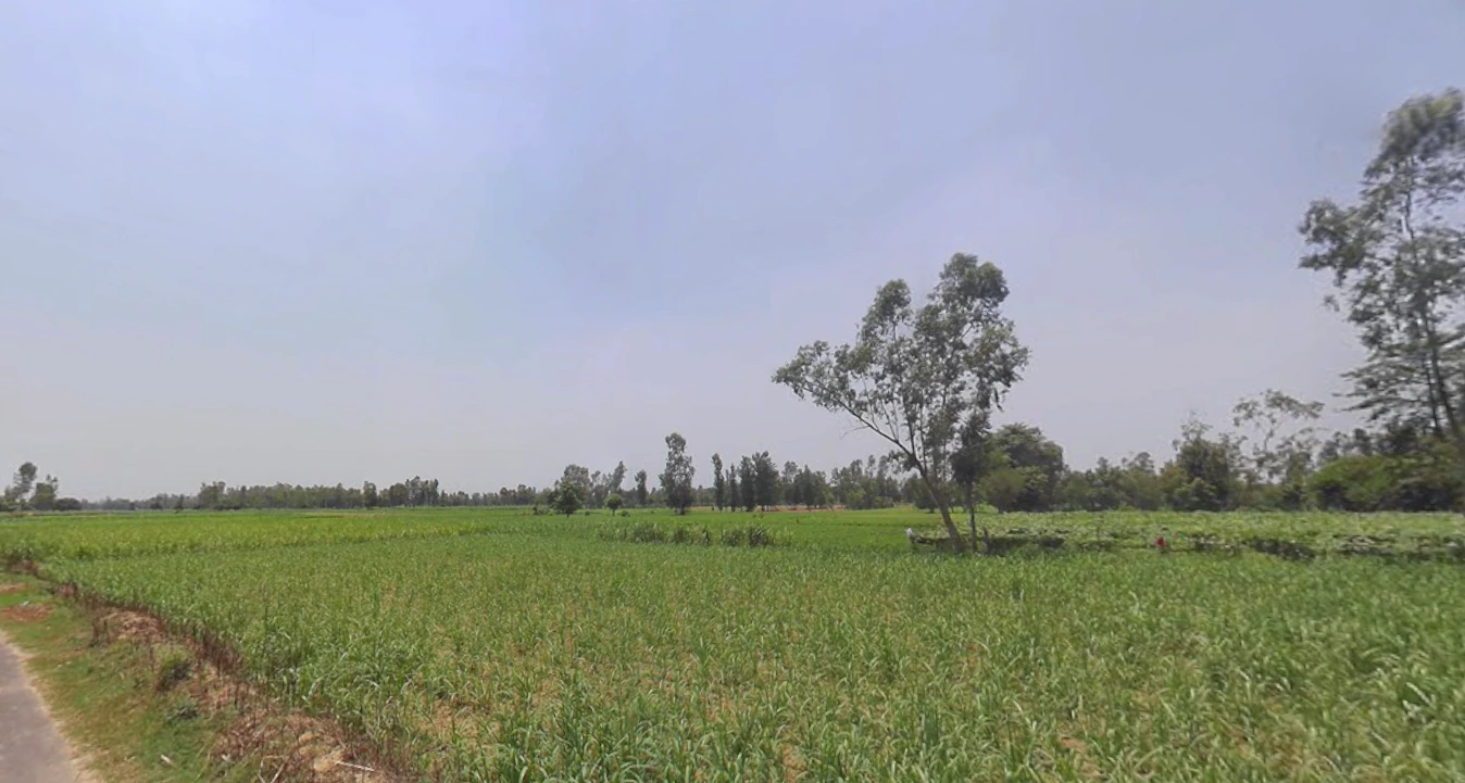 Dhanaura, Uttar Pradesh 244231, India