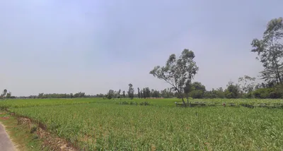 Dhanaura, Uttar Pradesh 244231, India preview 2