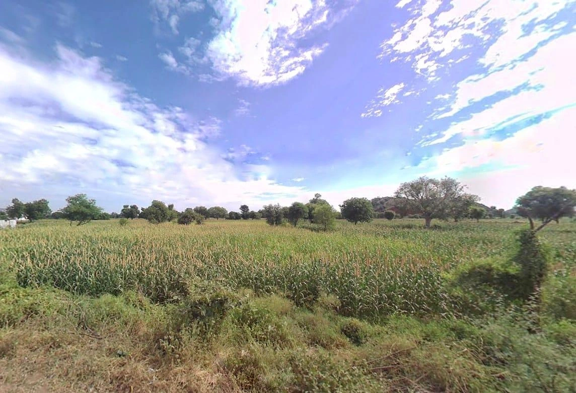 Pinan, Rajasthan, India