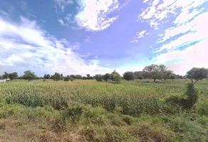 Pinan, Rajasthan, India preview 3