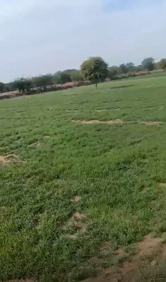 9WC6+73X, Jattal, Haryana 132105, India