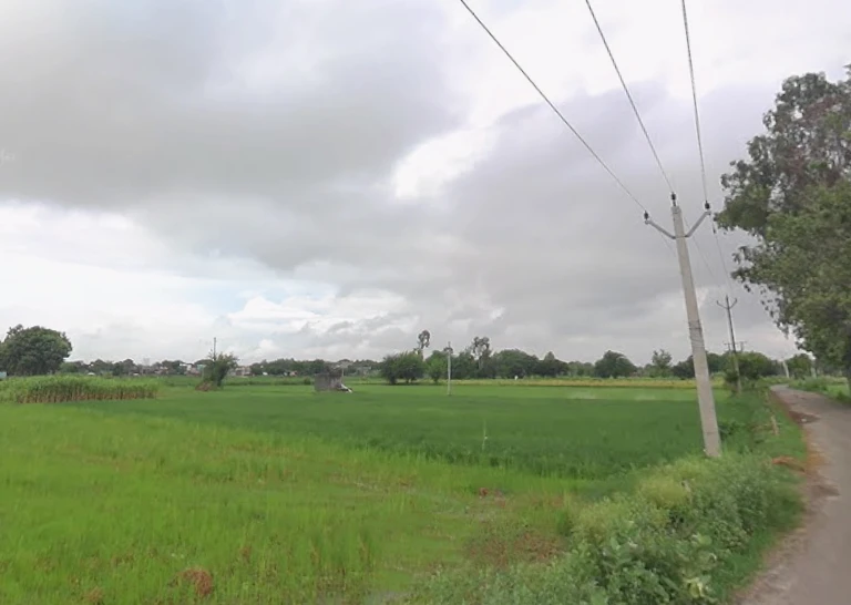 Shikarpur, Uttar Pradesh 203395, India