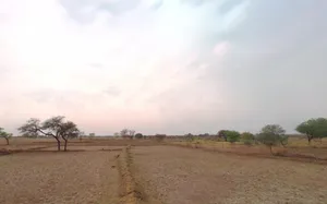 Suhela, Chhattisgarh 493195, India preview 2