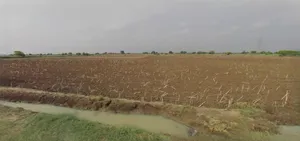 Ujjain, Madhya Pradesh, India preview 3