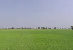 Lalru, Punjab, India preview 3