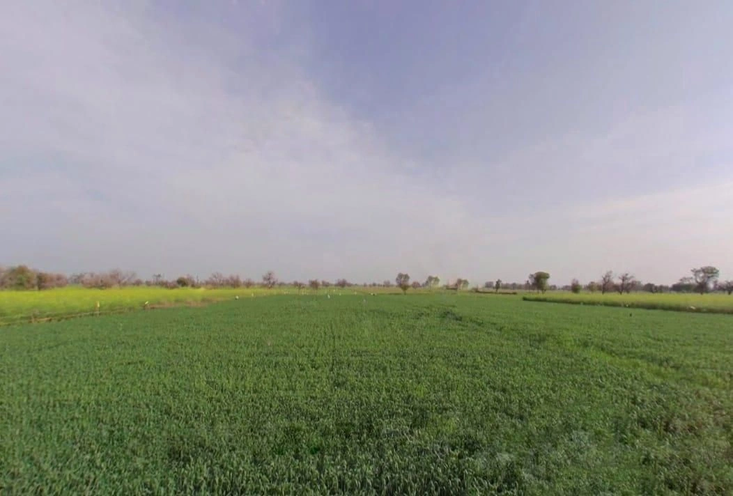 Badka, Rajasthan, India preview 2