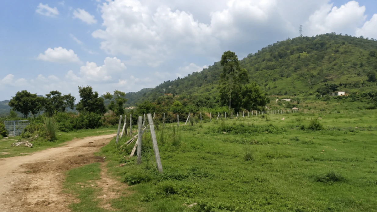 Rehna, Saharanpur, Uttar Pradesh, India