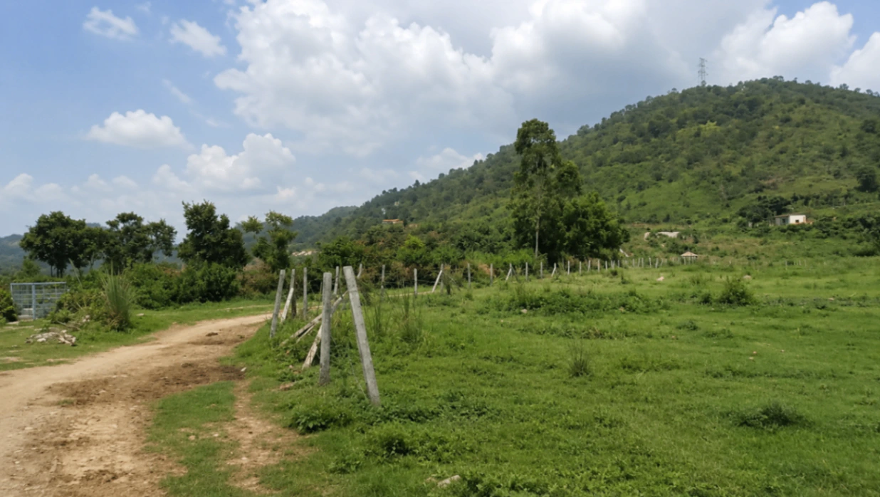 Rehna, Saharanpur, Uttar Pradesh, India
