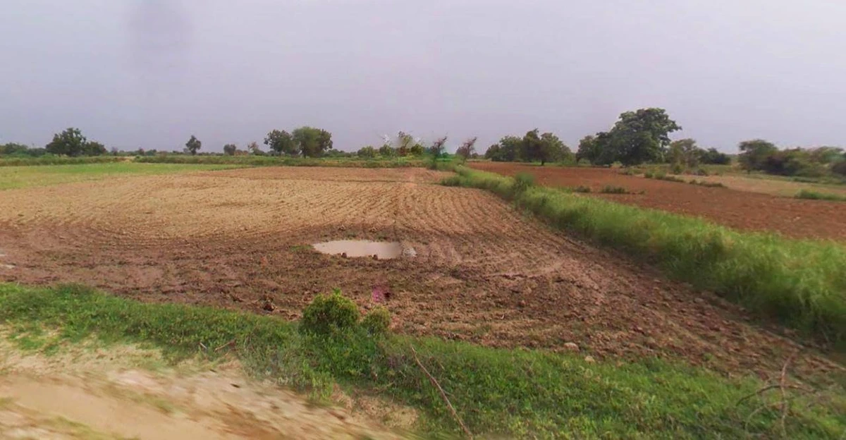 Najibabad, Uttar Pradesh 246763, India