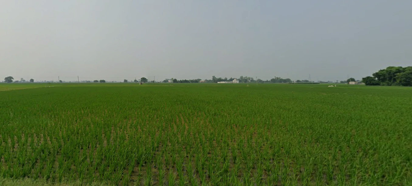 Tewar, Punjab 140301, India