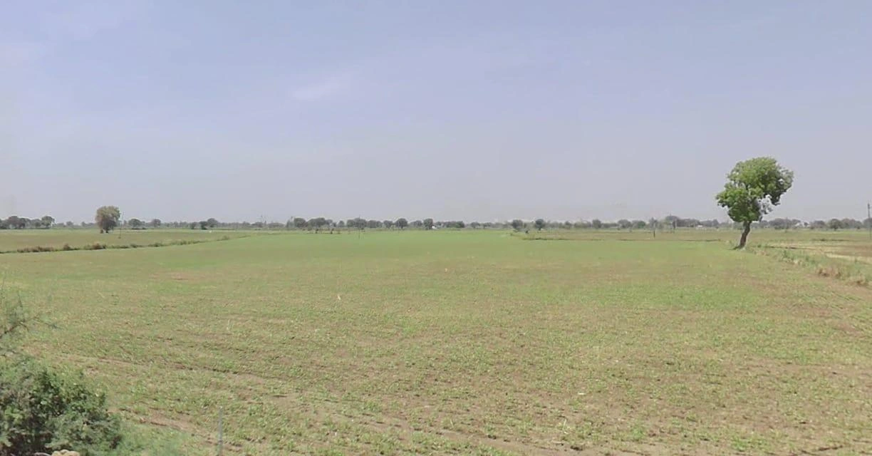 Bamhori, Madhya Pradesh 464551, India