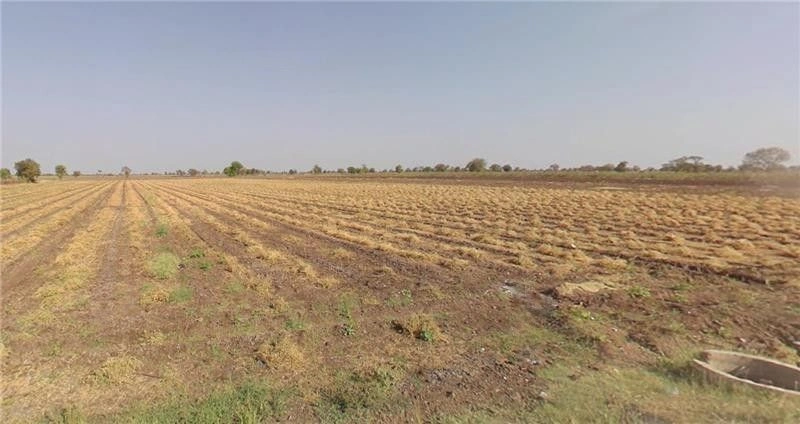 Kudasan, Gandhinagar, Gujarat, India