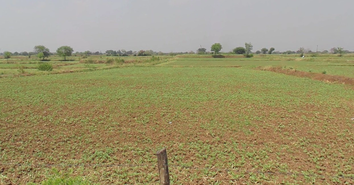 Bahediya, Madhya Pradesh 464651, India