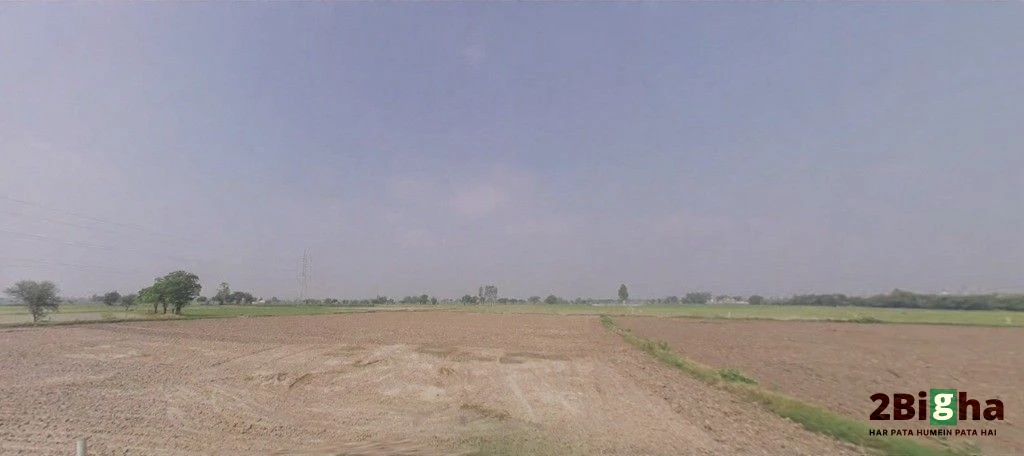 Geong, Haryana 136027, India