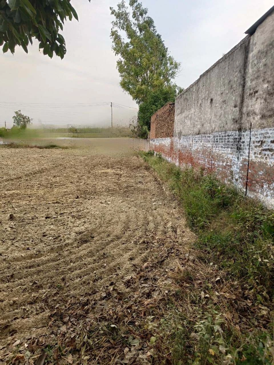 Chandauri, Uttar Pradesh, India preview 3