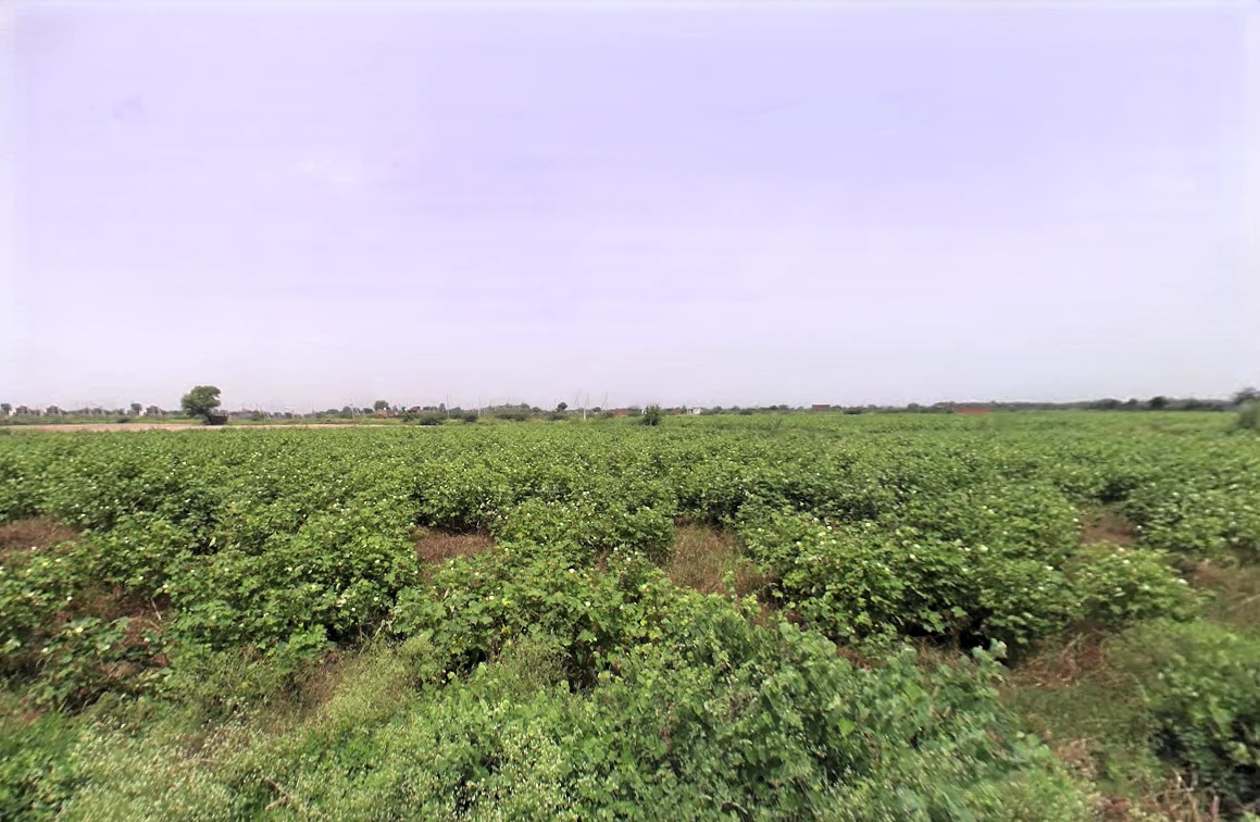 Saveli, Haryana 121105, India