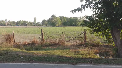 Ludhiana, Punjab, India preview 3