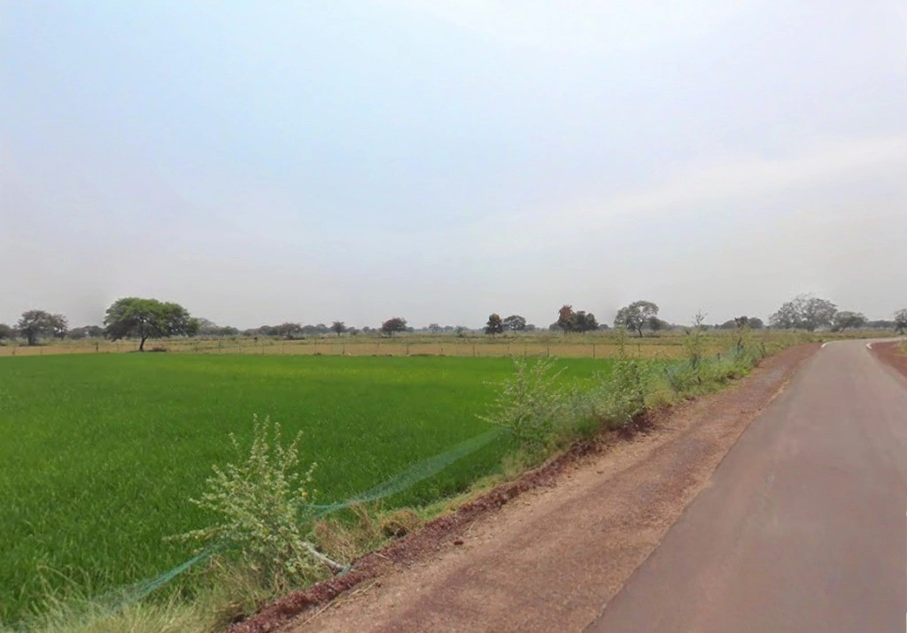 Samesar, Chhattisgarh 491337, India