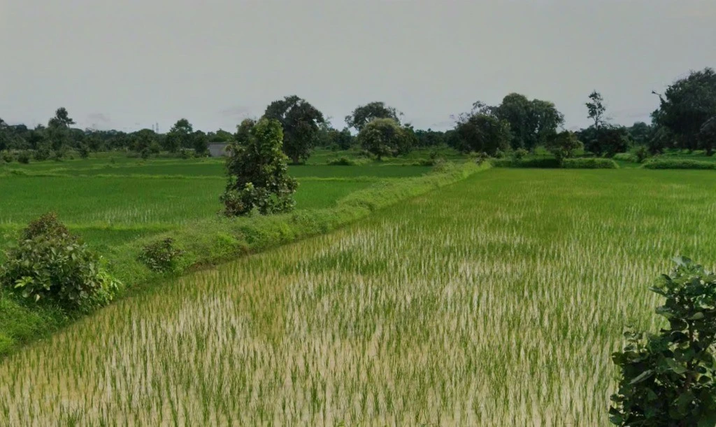 Sendri, Bilaspur, Chhattisgarh, India