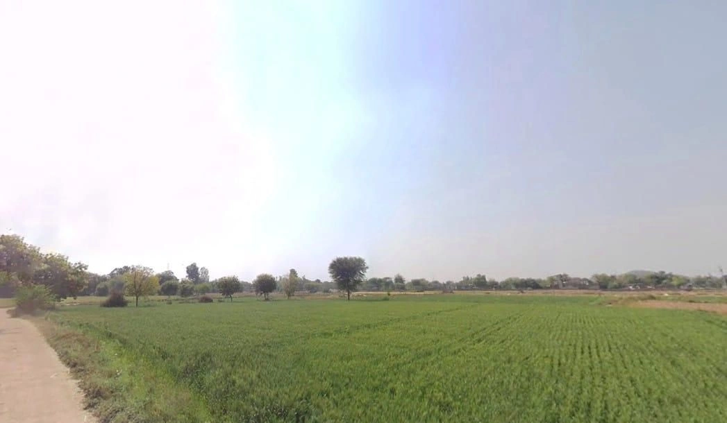 Chikani, Rajasthan 301028, India