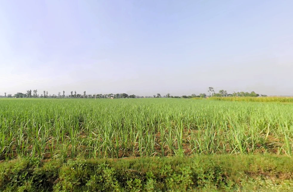 Shahpur, Uttar Pradesh 251318, India