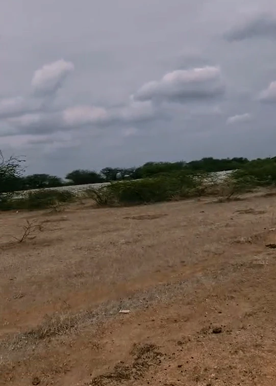 7J7H+QGC, Suryapet, Kandagatla, Telangana 508224, India
