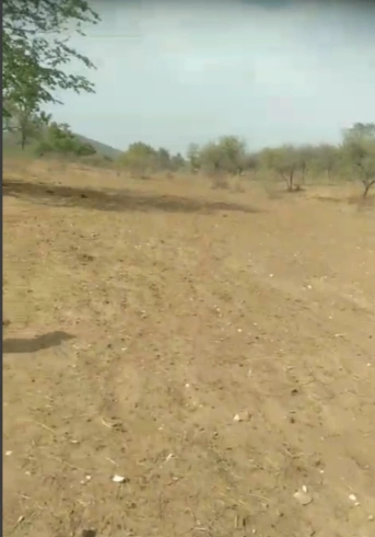 RPXF+H9G, Papamal, Rajasthan 313301, India preview 2