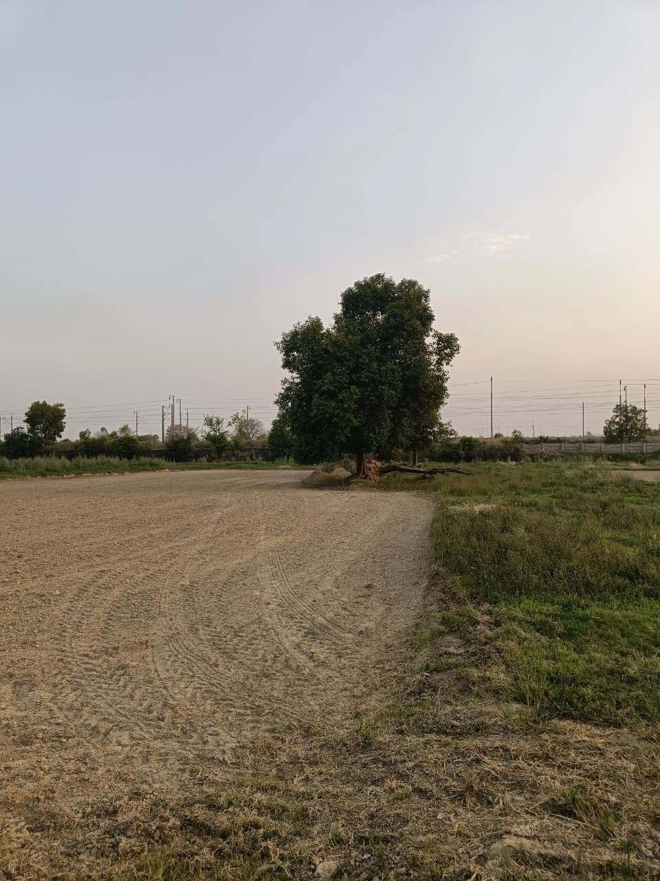 Tentigaon, Uttar Pradesh, India