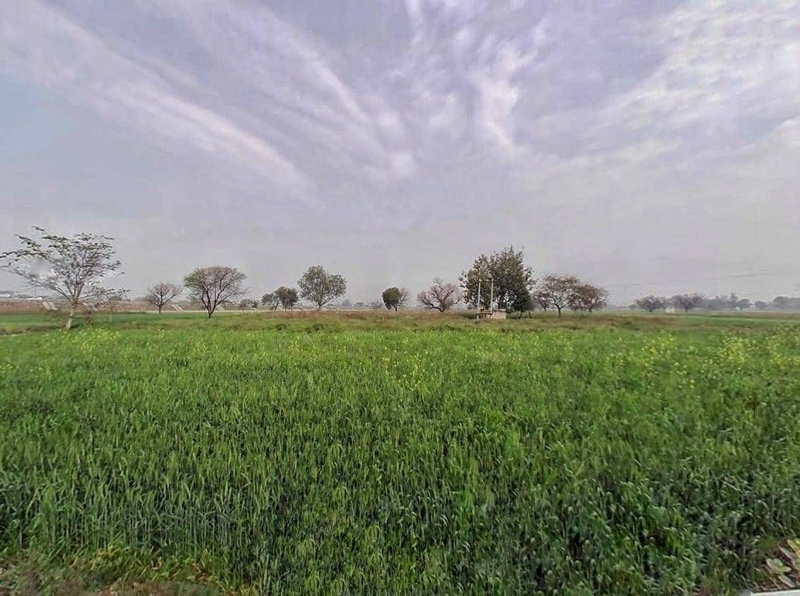 F52V+Q5P, Lakh Saneeja, Rajasthan 325204, India preview 3