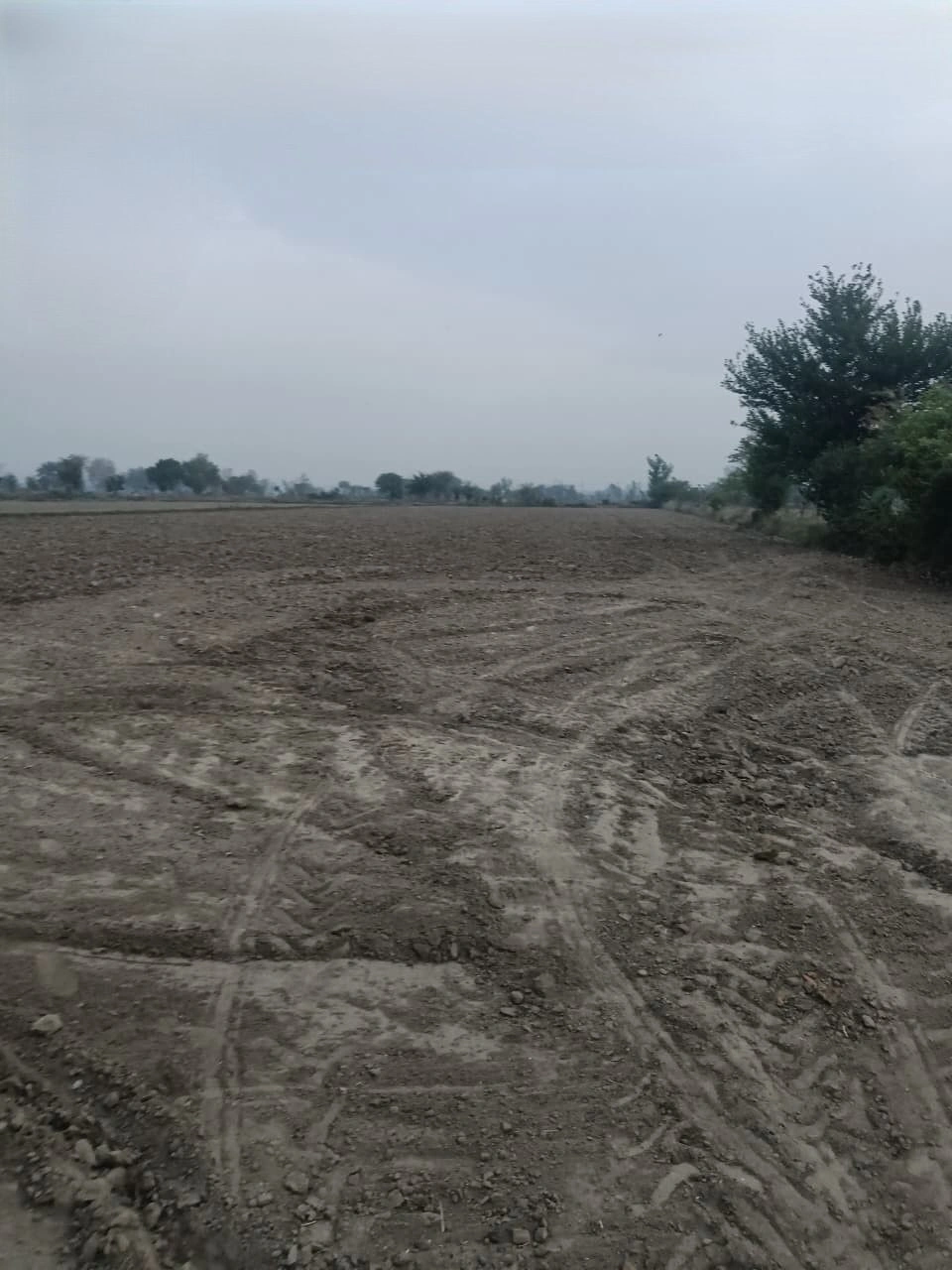 Pinan, Rajasthan, India