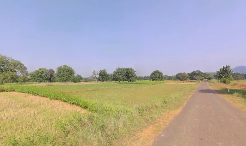 Duldula, Chhattisgarh 493101, India