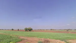 Bajrangpura, Rajasthan 303119, India preview 2