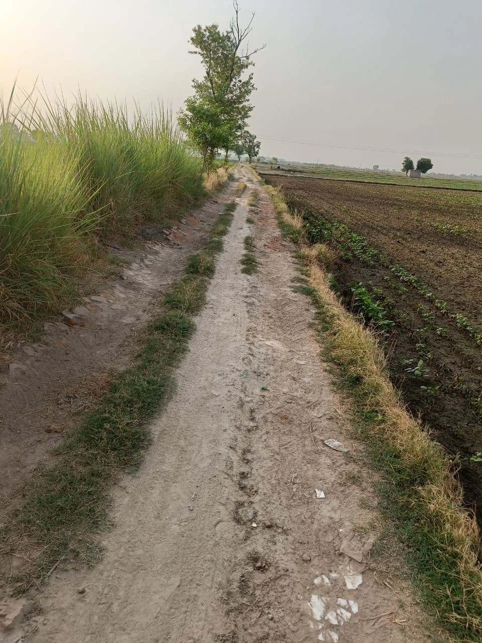 Tentigaon, Uttar Pradesh, India
