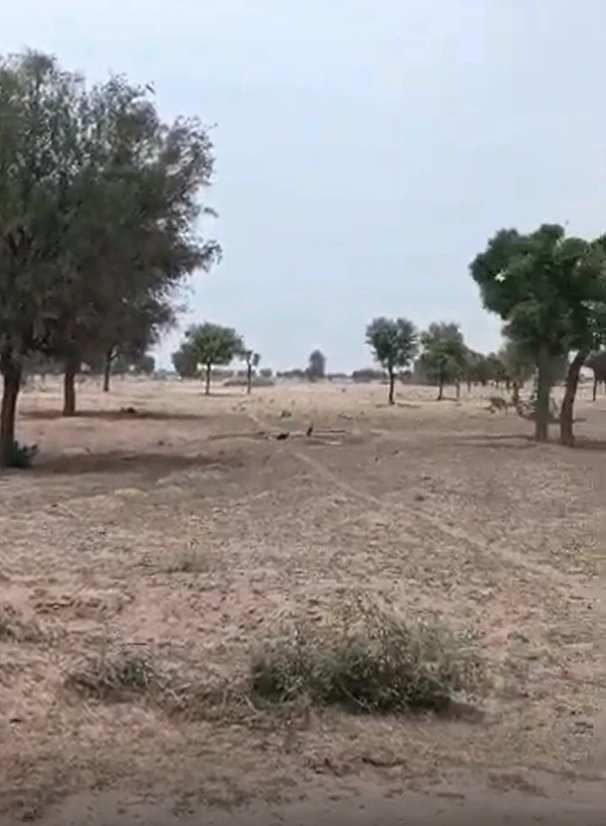 Sonpairi-2, Raipur, Chhattisgarh 493661, India