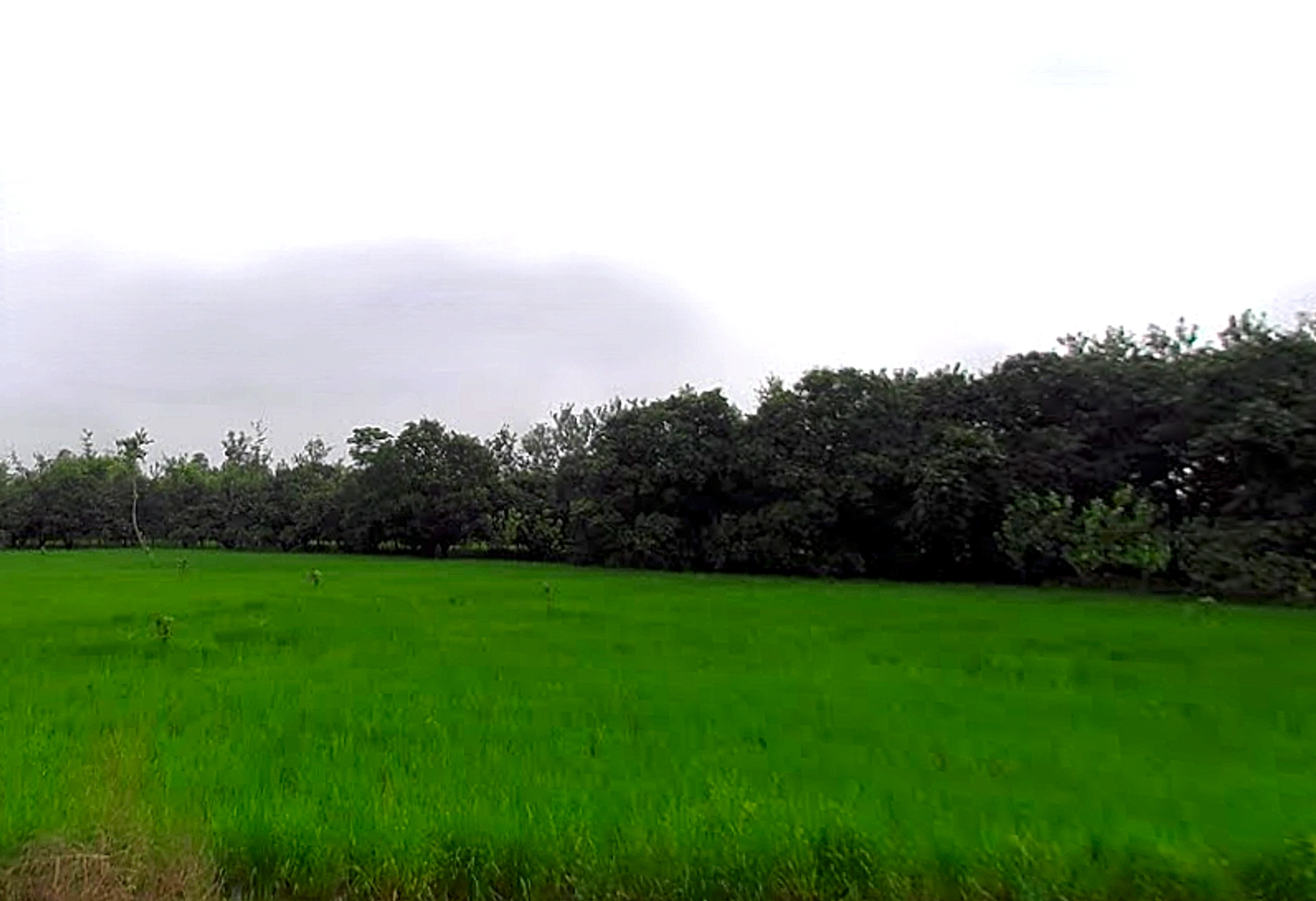 Chataki, Uttar Pradesh 247121, India