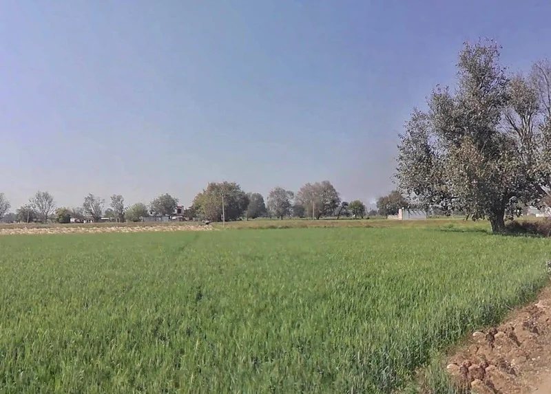 9MWQ+G4 Dhakpuri, Rajasthan, India preview 2