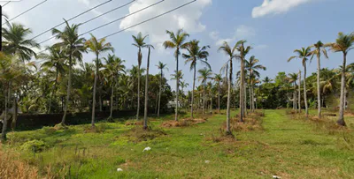 65WC+65R, Pullippadam, Mampad, Kerala 676542, India preview 2