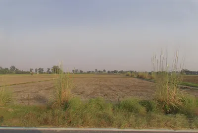Nandgaon Rd, Kosi Kalan, Uttar Pradesh 281403, India preview 3