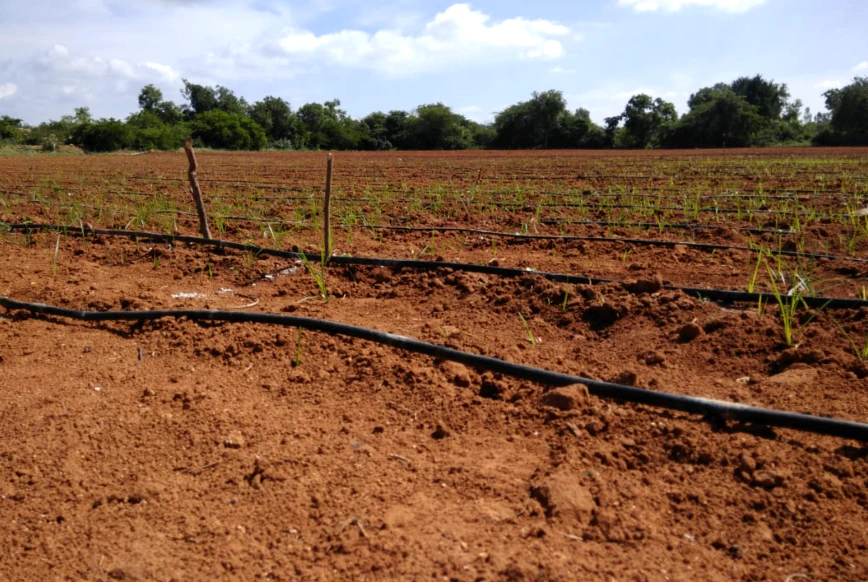 JV99+9J Neralemaradahalli, Karnataka, India