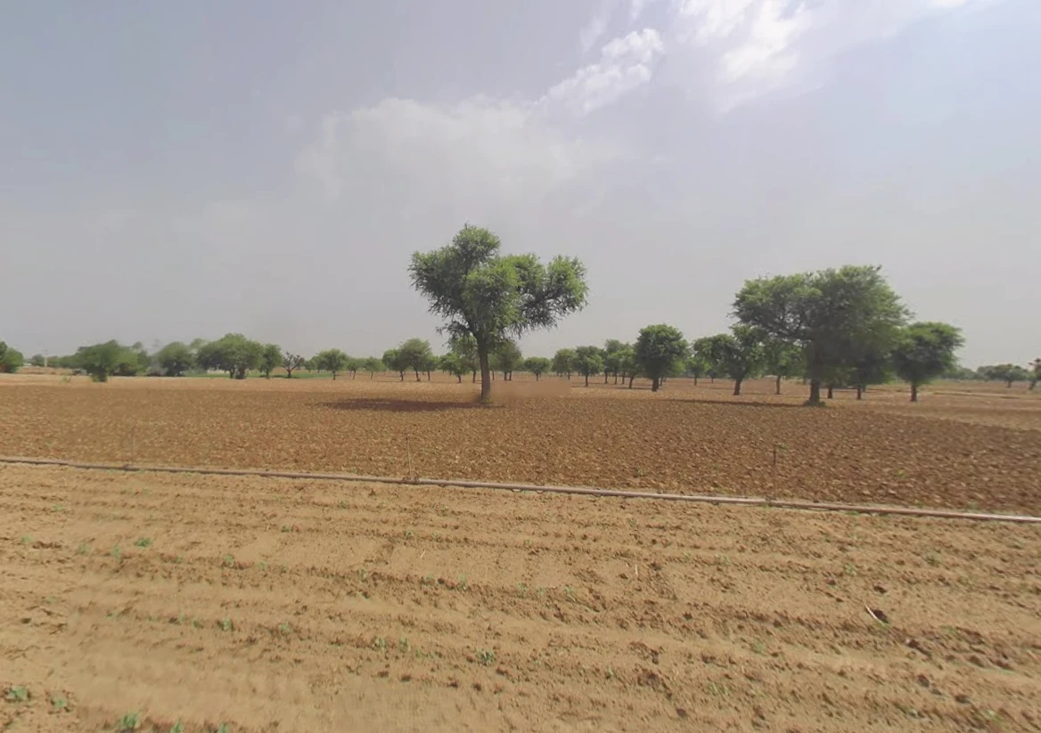 Khariwara, Haryana 123021, India