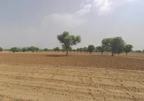 Khariwara, Haryana 123021, India preview 3