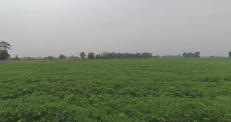 Ghanshyampur, Gujarat 363330, India preview 3