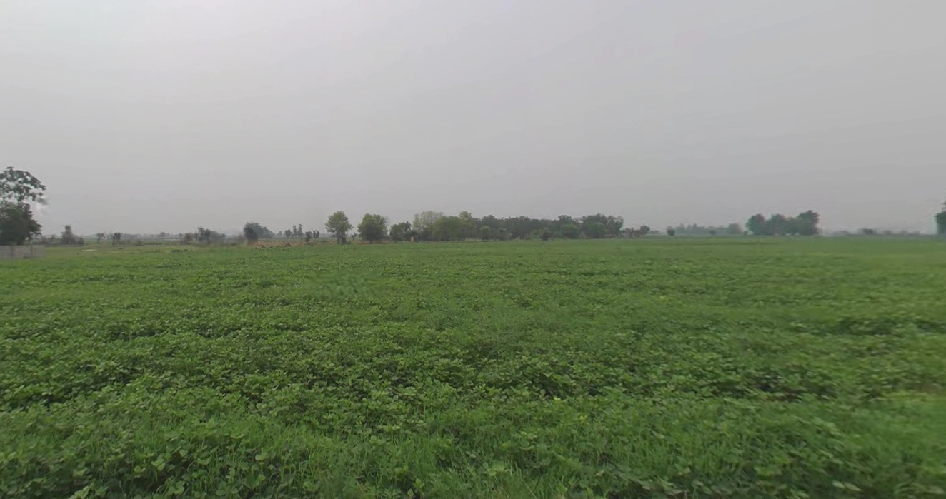 Ghanshyampur, Gujarat 363330, India