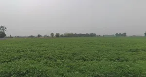 Ghanshyampur, Gujarat 363330, India preview 3