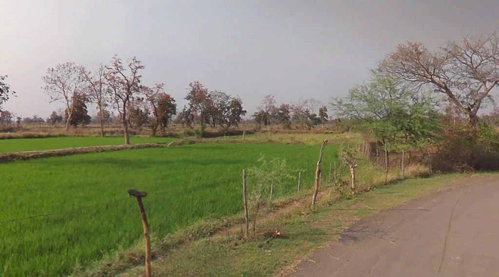 Temri, Chhattisgarh 491340, India preview 2