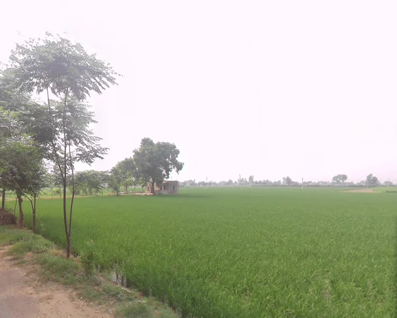 Mullanpur, Punjab 148023, India