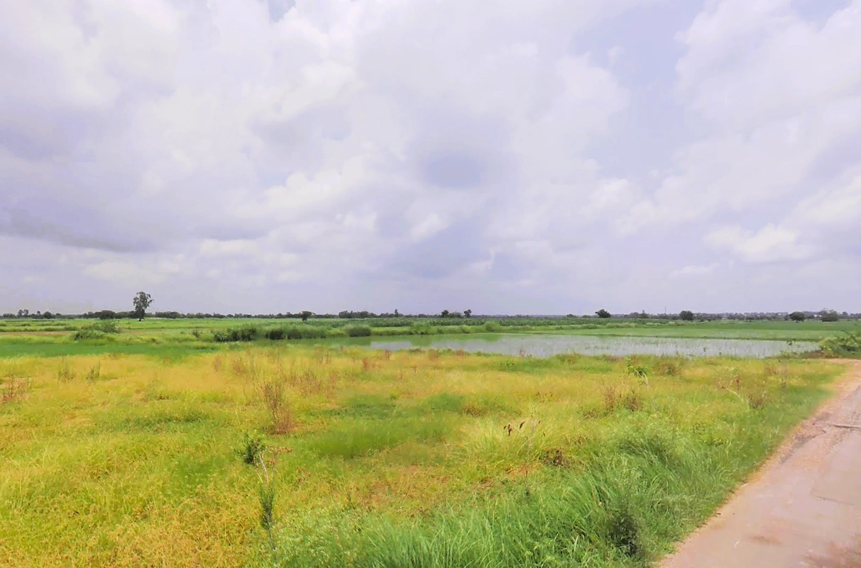 Baniyani, Haryana 124411, India