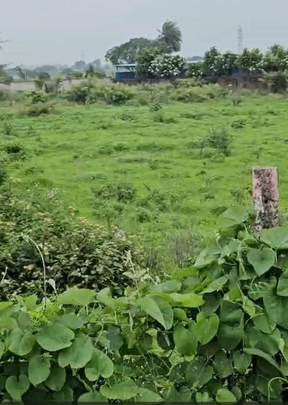 JVQ4+P7J, Indore, Morod, Madhya Pradesh, India
